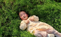 火影忍者 百度影音